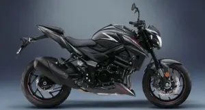 Stickerset zilver GSX-S750 Professioneel