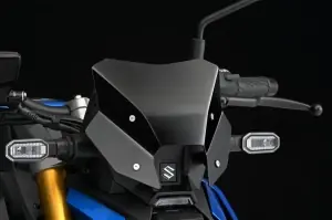 Koop Vandaag Windscherm GSX-S1000 M5~