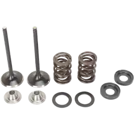 Koop Online Moose Racing Uitlaatkleppenset All RFS Engines 400-560cc 2000-2009