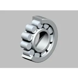 Alleen Vandaag NTN Krukaslager NJ306ET2XC3 30x72x19 KTM SX250 1996