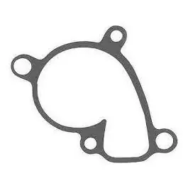 OEM Waterpomp Pakking Suzuki RM250 2001-2008 Modern