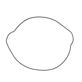 Beperkt Aanbod Prox Koppeling Deksel Pakking KTM SXF250 SXF350 2016-2022 EXC-F350 EXC-F250 2017-2023 SXF250 EXC-F350 EXC-F250 SXF350 Husqvarna FC250 FC350 2016-2022 FE250 2017-2024 FE350 2017-2023 FX350 2017-2022 GasGas EC250F EC350F EX250F EX350F MC250F 2021-2023 MC...