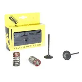 Professioneel ProX Stalen Inlaatklep Veer Kit Kawasaki KX250F 2004-2006 Suzuki RM-Z250 2004-2006