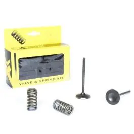 Professioneel ProX Stalen Inlaatklep Verenset Honda CRF250R 2008-2009