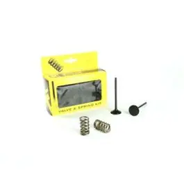 Favoriet ProX Stalen Uitlaatklep Verenset Yamaha YZ250F 2014-2015